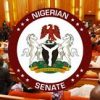 SENATE APPROVES BILL TO EASE RETIREES ACCESS TO PENSION FUNDS